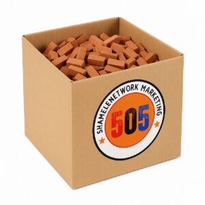 ساختنی 300 تکه مدل آجر مینیاتوری خانه سازی و ماکت سازی 505 کد Bx-s300