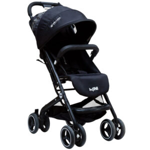 کالسکه مسافرتی دلیجان مدل مینی