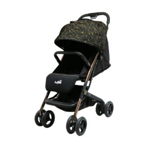 کالسکه مسافرتی دلیجان مدل مینی پرو طرح کهکشانی