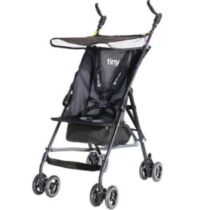 کالسکه دلیجان مدل تاینی